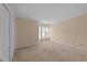 Bedroom features a large window, fresh paint, and plush carpet at 2821 Edridge Ct # 102, Raleigh, NC 27612