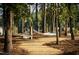 Relaxing hammock area in a wooded setting along a walking trail at 50 Sneed Ln, Fuquay Varina, NC 27526