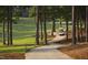 Scenic view of a golf cart driving along a tree-lined path on a sunny day at 50002 Brogden, Chapel Hill, NC 27517