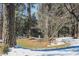 Backyard with light dusting of snow, a tall tree, ground cover, and a small dog at 515 S Woodland Rd, Henderson, NC 27536