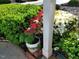 Close up of flower garden in front yard with small plants at 11843 Canemount St, Raleigh, NC 27614