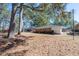 Spacious backyard with mature trees, offering a serene outdoor setting and room for recreation at 1216 York St, Rocky Mount, NC 27803