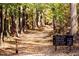 Community walking trail through a natural wooded area with beautiful scenery at 174 Blue Butterfly Dr, Angier, NC 27501