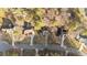 Aerial view of the neighborhood showcasing well-maintained homes and landscaping at 214 Linville Ln, Willow Springs, NC 27592