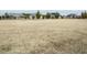 Large open backyard space surrounded by neighboring homes at 2609 Packhouse Rd, Zebulon, NC 27597