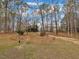 Expansive wooded backyard featuring mature trees and landscaping at 5661 Quail Covey Ln, Wendell, NC 27591