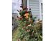 Exterior view showcasing climbing roses against siding at 111 Kalmia Dr, Durham, NC 27703