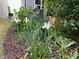 Beautifully landscaped flower bed featuring a variety of plants and colorful flowers along the side of the house at 111 Kalmia Dr, Durham, NC 27703