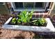 Window box with vibrant annuals and perennials adding charm to the exterior at 17 Beckwith Ave, Clayton, NC 27527