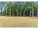 Large, empty backyard with a treeline offering privacy at 1803 Ballard Rd # Holly Craftsman, Fuquay Varina, NC 27526