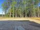 Spacious lot ready for your dream house with potential for a beautiful, wooded backyard at 1803 Ballard Rd # Holly Craftsman, Fuquay Varina, NC 27526