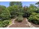 Lush backyard featuring mature trees, bushes, mulch and stone pathways at 230 E Park Dr, Raleigh, NC 27605