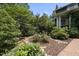 Lush landscaping featuring a stone path and mature trees surrounding the house at 230 E Park Dr, Raleigh, NC 27605
