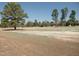 An expansive field with tall trees under a clear blue sky at 325 Sandy Ridge Rd, Dunn, NC 28334