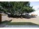 Backyard view featuring mature trees and landscaping at 407 Misty Grove Cir, Morrisville, NC 27560