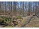 Scenic backyard featuring mature trees, foot bridge, and a natural landscape at 6021 Dickson Mill Rd, Durham, NC 27705