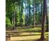 Large backyard with tall trees providing shade and a lush green lawn at 636 Palmer Dr, Sanford, NC 27330