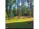 Backyard featuring a playhouse, a hammock and a lush green lawn at 636 Palmer Dr, Sanford, NC 27330
