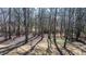 A backyard filled with trees and foliage, seen during late fall or early spring at 105 Glasgow Dr, Clayton, NC 27520