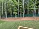 Backyard with green grass, trees, and green fence at 122 Sanderway Dr, Chapel Hill, NC 27516