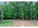 Secluded backyard with wooded area, offering privacy and a natural setting at 1354 Red Bud Ct, Wake Forest, NC 27587