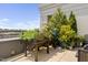 Charming rooftop garden with beautiful planters and herbs, offering a green escape at 140 W Franklin St # 406, Chapel Hill, NC 27516