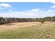 Expansive grassy field with trees in the background at 169 Hidden Bluff Dr, Chapel Hill, NC 27517