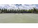 Outdoor tennis court with green surface and lighting, set against a backdrop of lush trees and landscaping at 4052 Dunkirk Dr, Burlington, NC 27215