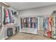 Spacious walk-in closet with ample storage and custom shelving at 525 Marion Hills Way, Knightdale, NC 27545