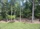 A grassy backyard bordering a dense forest at 60 Valebrook Ct, Youngsville, NC 27596