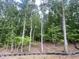 A picturesque wooded property awaiting your dream home design and providing privacy at 60 Valebrook Ct, Youngsville, NC 27596
