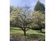 Beautiful dogwood tree in full bloom graces the front yard of this well-maintained property at 8510 Polaris Dr, Bahama, NC 27503