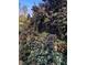 Green shrubbery with red berries at 8510 Polaris Dr, Bahama, NC 27503