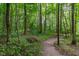 Pathway through lush forest landscape and dense foliage at 149 Bonica Creek Dr, Garner, NC 27529