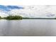 Scenic view of the lake with tree-lined shores and a partly cloudy sky at 149 Bonica Creek Dr, Garner, NC 27529