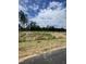 Homesite #42 is available, showing a view of the lot at 242 Deodora Ln, Cameron, NC 28326