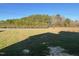 Backyard featuring a green lawn, a tree line, and a view of a clear blue sky at 39 Flatland Dr, Princeton, NC 27569