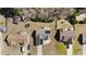 Birds eye view of a single-Gathering home with solar panels surrounded by a trampoline and lush green landscaping at 66 Newbury Dr, Angier, NC 27501