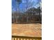 Expansive backyard surrounded by trees, offering plenty of space for outdoor activities and relaxation at 80 Valebrook Ct, Youngsville, NC 27596