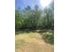 The newly sodded backyard with mature trees offers privacy and a lush space for outdoor activities at 80 Valebrook Ct, Youngsville, NC 27596