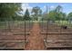 Spacious garden with raised beds and gravel pathways, surrounded by greenery and a greenhouse in the background at 1017 Holly Creek Ln, Chapel Hill, NC 27516