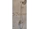 Close-up of the shower head with neutral tone tiles around the bathroom at 171 Springberry Ln, Chapel Hill, NC 27517