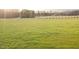 Vast, lush backyard offering ample space for outdoor activities at 29 Hinshaw Shop Rd, Liberty, NC 27298