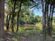 Tranquil view of a neighborhood pond surrounded by trees and tall grass at 432 E Clydes Point Way, Wendell, NC 27591