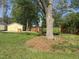 Backyard with privacy fence and mature shade tree on a sunny day at 531 N Main St, Graham, NC 27253