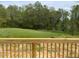 View from a new wooden deck overlooking a green, grassy backyard and a treeline in the distance at 119 Grove Township Way, Angier, NC 27501
