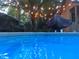 Outdoor space with a pool, surrounded by trees, and string lights for evening enjoyment at 2930 Hostetler St, Raleigh, NC 27609