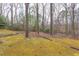 Large backyard with beautiful trees, offering a peaceful outdoor space at 407 Granville Rd, Chapel Hill, NC 27514