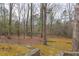 Expansive backyard with mature trees, offering privacy and a natural setting at 407 Granville Rd, Chapel Hill, NC 27514