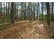 A serene wooded backyard offers tranquility and privacy, perfect for nature lovers and outdoor relaxation at 5008 Hermitage Dr, Raleigh, NC 27612